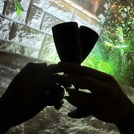 Avec Privatif Et Salle De Jeux Adultes Appartement Beauvais